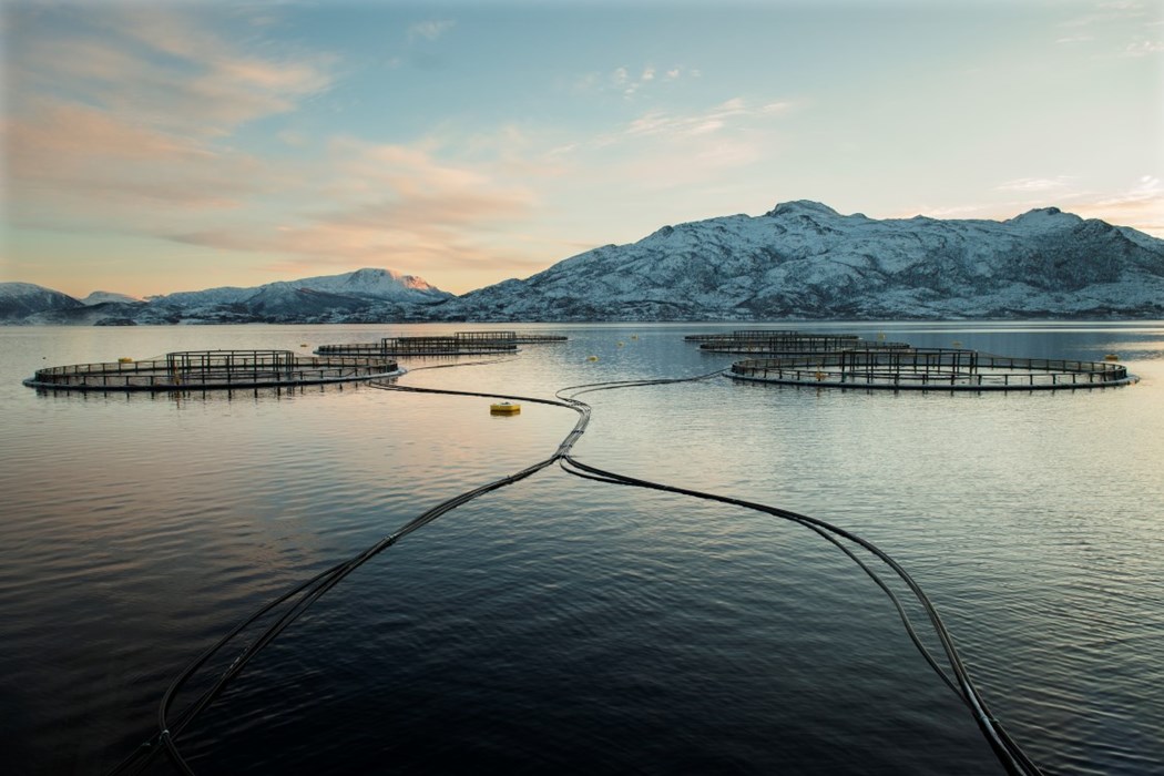Fish farm at sea in Norway with snow capped mountains in the background