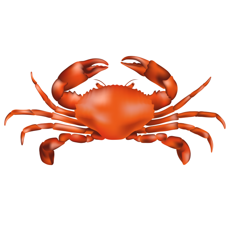 Crab