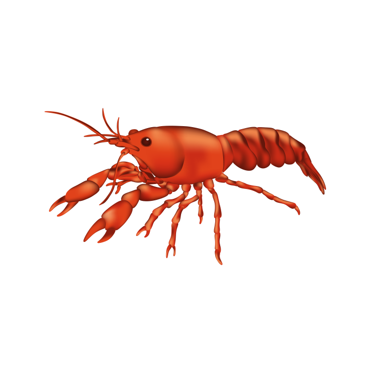 Crayfish