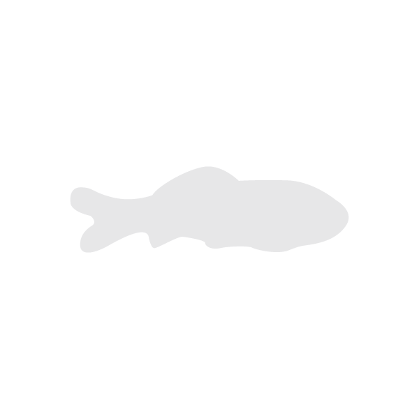 Carp lifecycle
