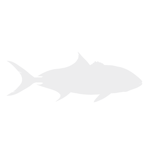 Greater amberjack lifecycle