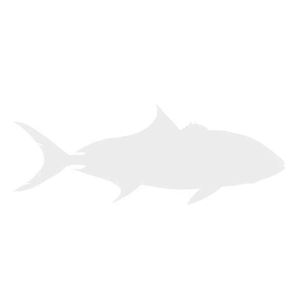 Greater amberjack lifecycle