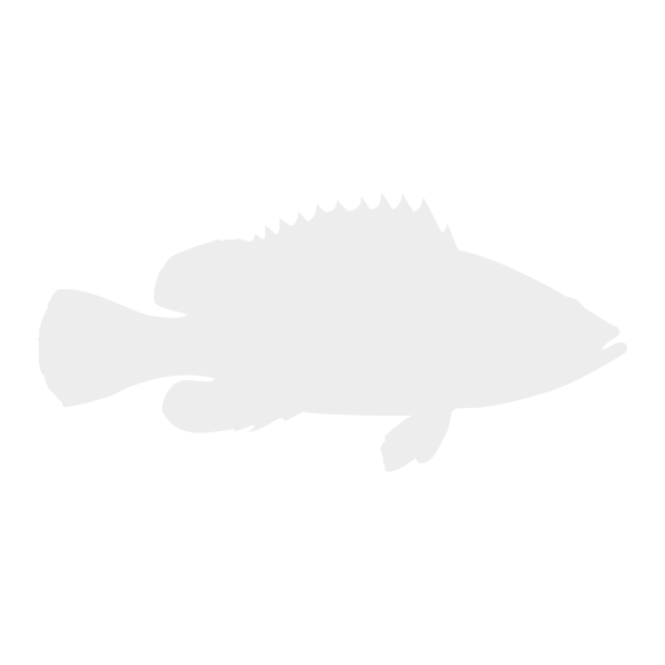 Grouper lifecycle