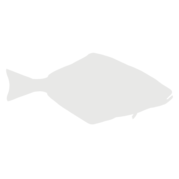 Halibut lifecycle
