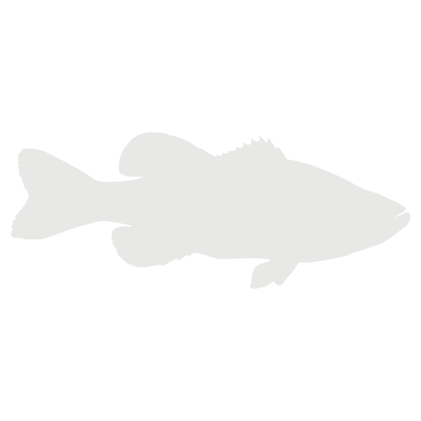 Largemouth bass lifecycle