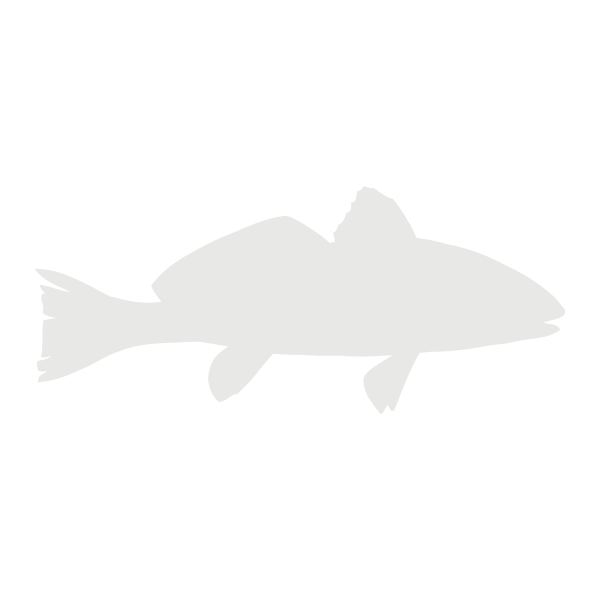 Red drum lifecycle