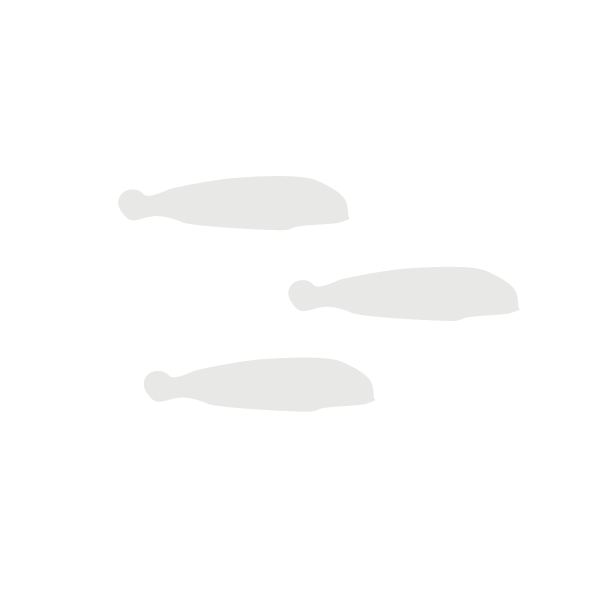 Sea Bream lifecycle