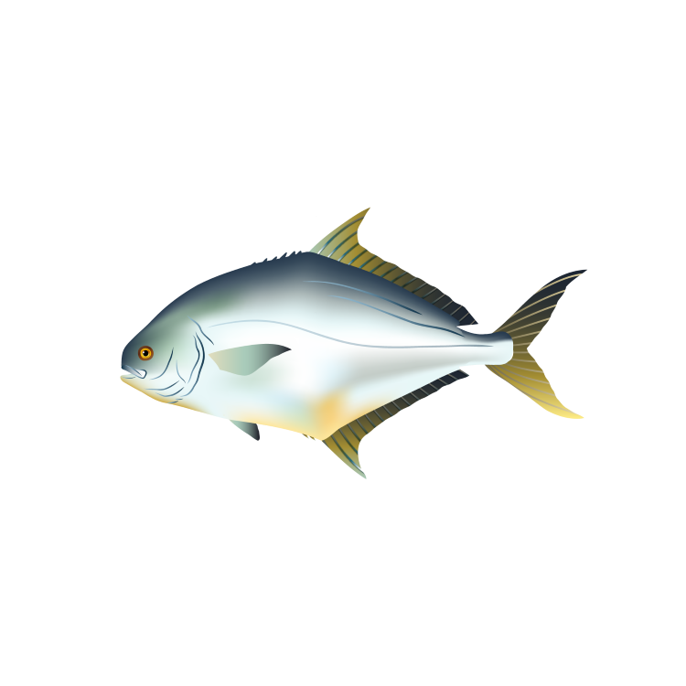 Pompano