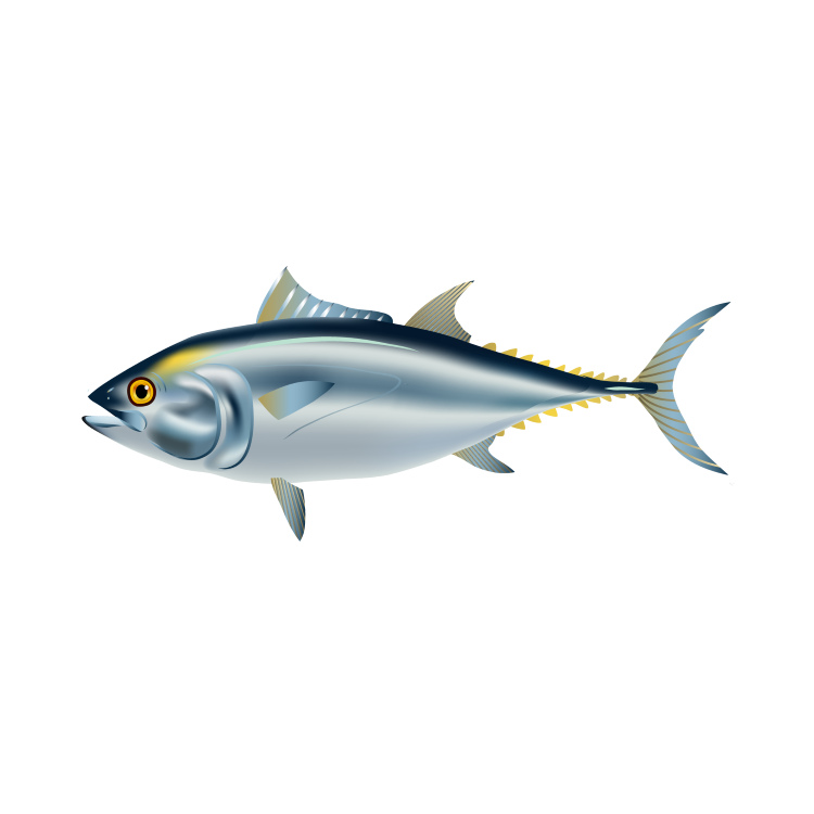 Tuna