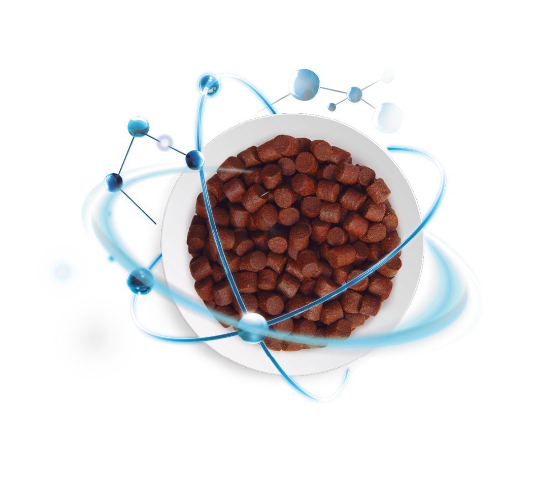 Pellet illustration