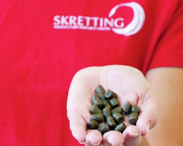 Skretting feed in hand